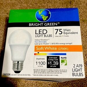 3/$20. Bright Green A19 LED Bulbs